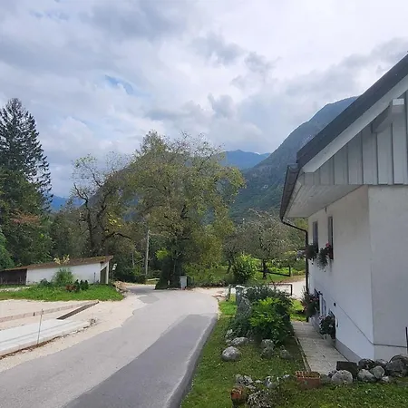 Comfortable With Mountain View - One Bedroom With Mountain View Bovec